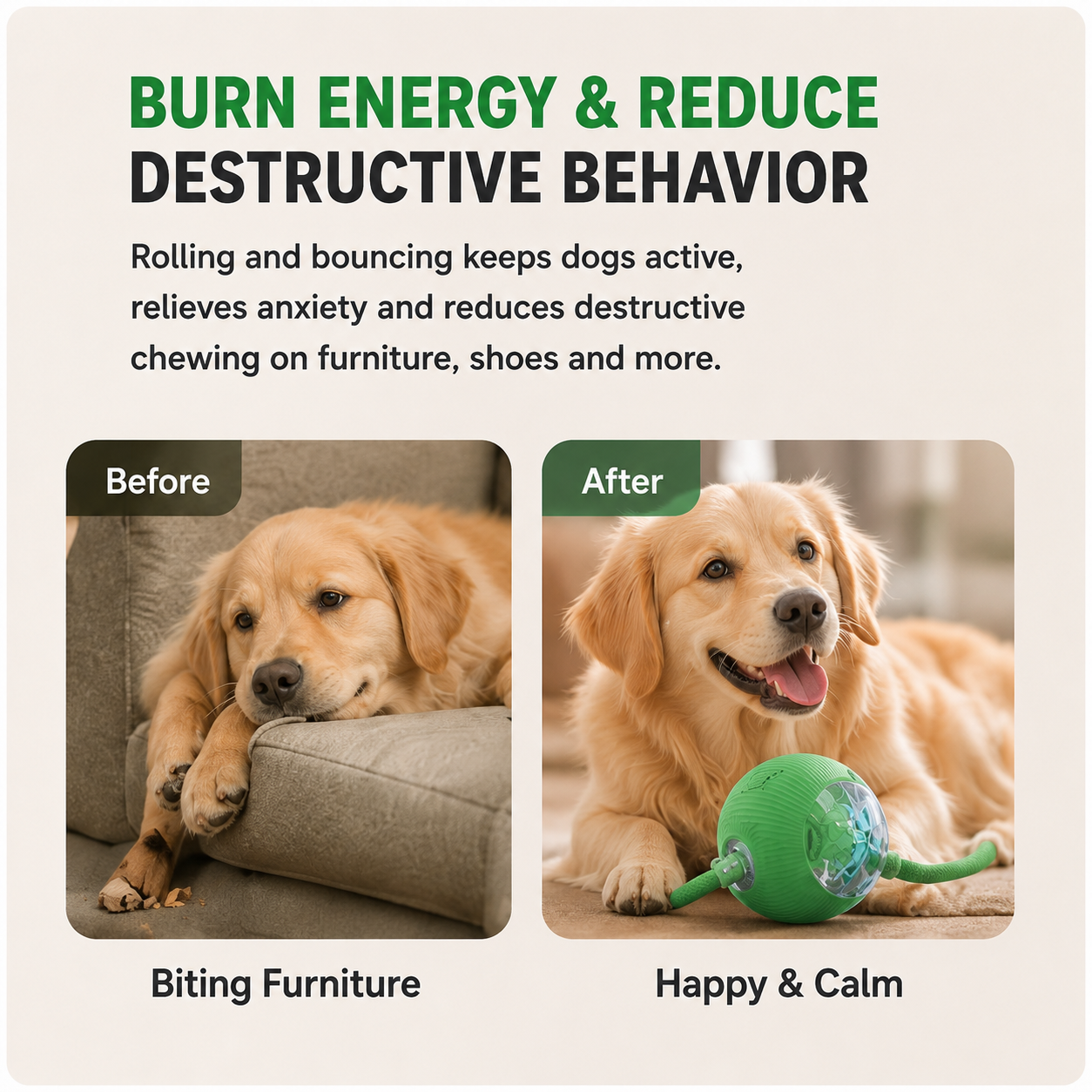 Smart Automatic Interactive Rolling Dog Ball